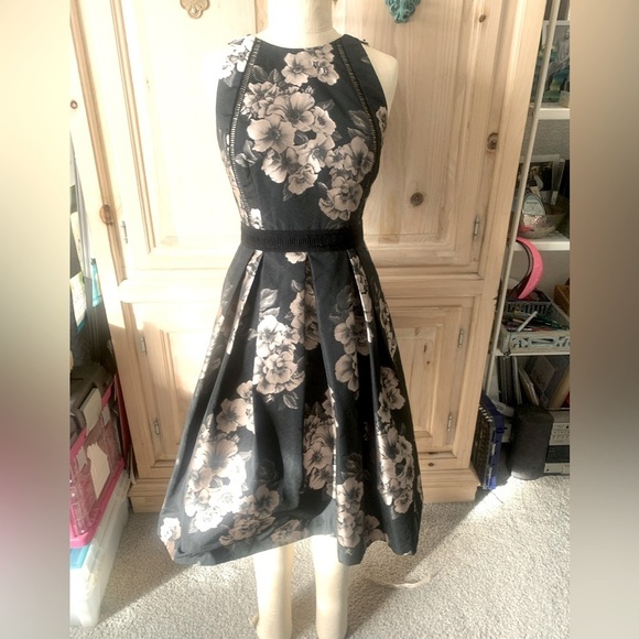 This dress Rocks!?Cocktail Work Sheik - Picture 1 of 4